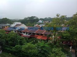 Meadows @ Peirce (D26), Condominium #104954322